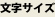 文字サイズ