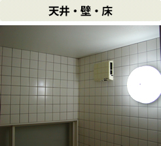 天井・壁・床