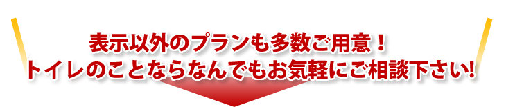 表示以外のプランも多数ご用意!トイレことならなんでもお気軽にご相談下さい!