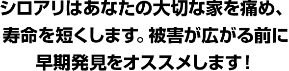 シロアリはあなたの大切な家を痛め、寿命を短くします。
被害が広がる前に早期発見をオススメします！